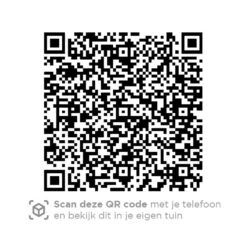 4 Seasons Accor Loungestoel - Antraciet -Kettler Stoelen Winkel 1000042588 0103