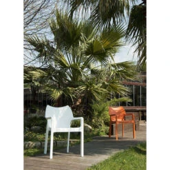 Garden Impressions Diva Tuinstoel Wit - 2 Stuks -Kettler Stoelen Winkel 1000054064 0102