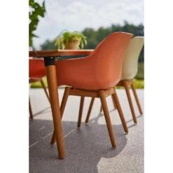 Set Van 2- Hartman Sophie Studio Diningstoel-Italian Terra- Teak Poot -Kettler Stoelen Winkel 1000073141 0103